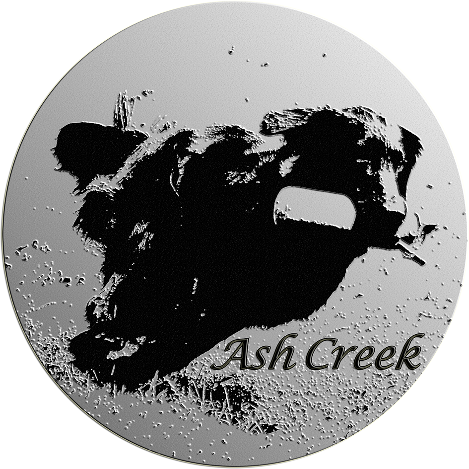 Ash Creek Flat Coated Retriever